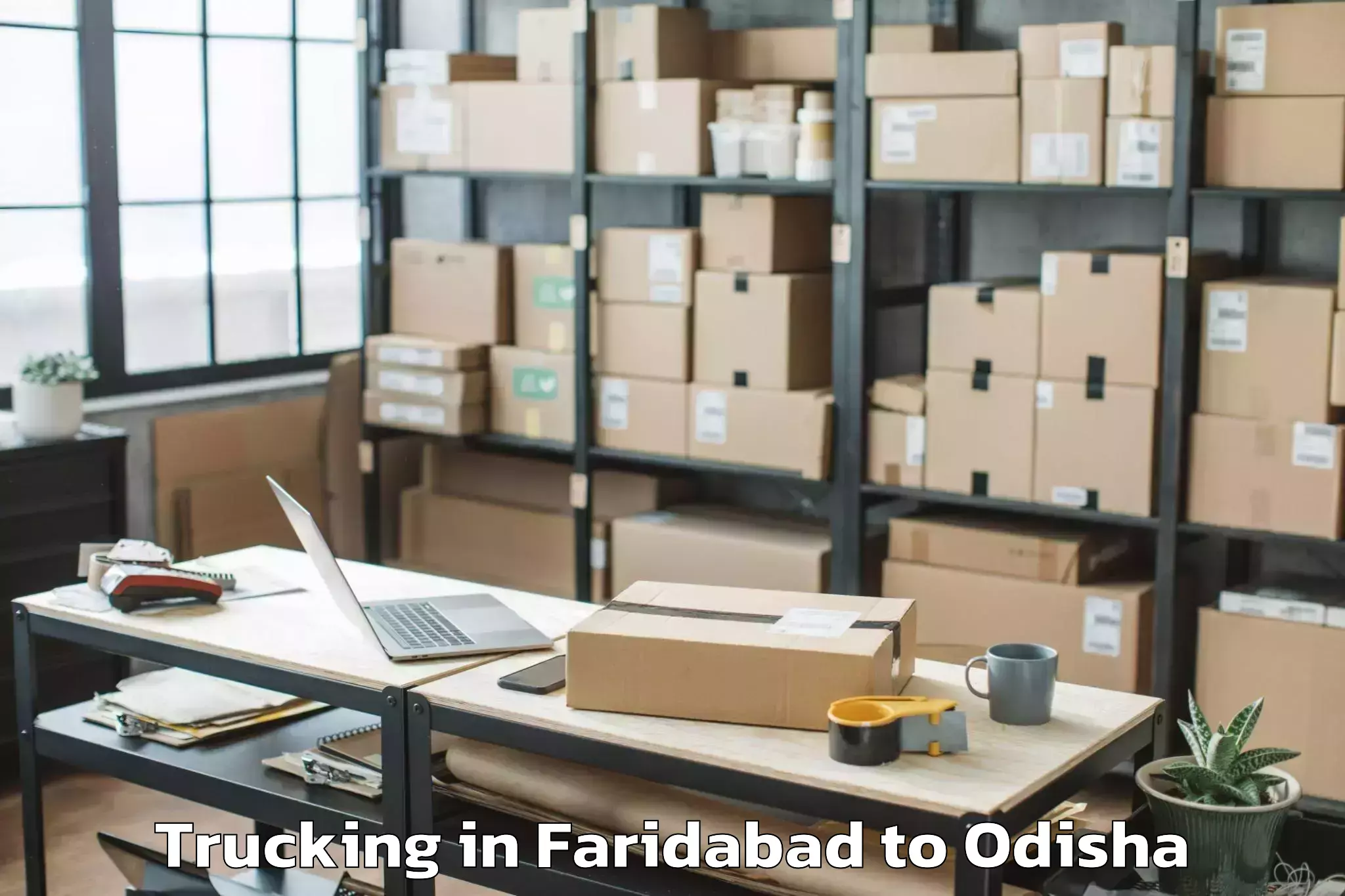 Leading Faridabad to Belpara Trucking Provider